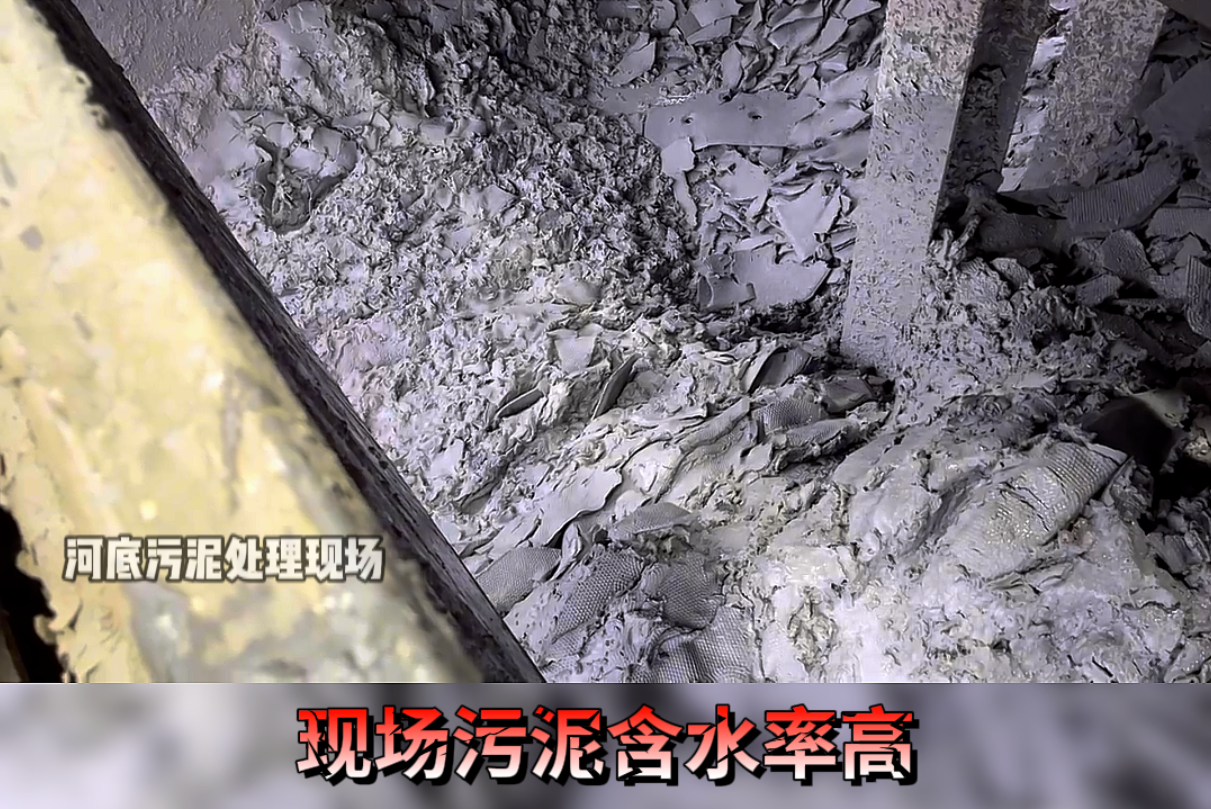 屏幕截圖 2024-12-20 141534