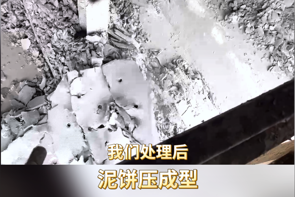 屏幕截圖 2024-12-20 141448